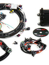 Holley HP EFI ECU & Harness Kits GM LS1/LS6 (24x crank sensor) 