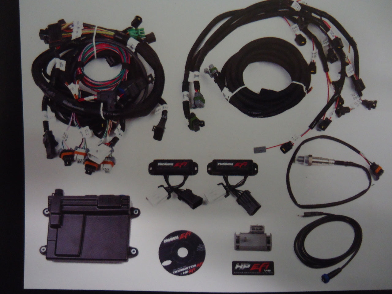 Holley EFI Complete Plug and Play 4.6 / 5.4 2V Engine Management