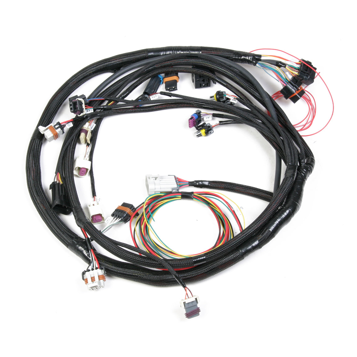 Holley LS2 Main Harness for Holley HP EFI & Dominator EFI