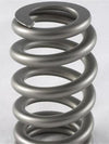.625" Lift Springs Designed For RPM and Higher Load