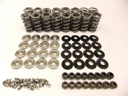 660" Lift Platinum Spring Kit with Titanium Retainers