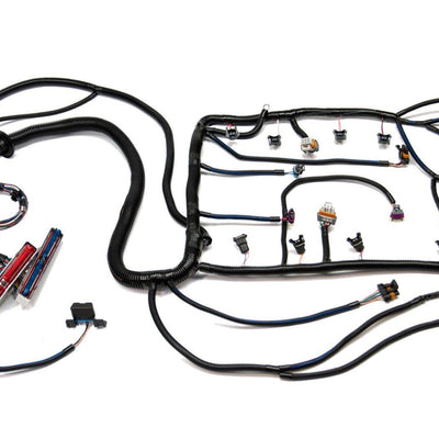 Wire Harnesses & Accessories