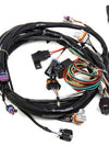 Holley LS1 Main Harness for Holley HP EFI & Dominator EFI
