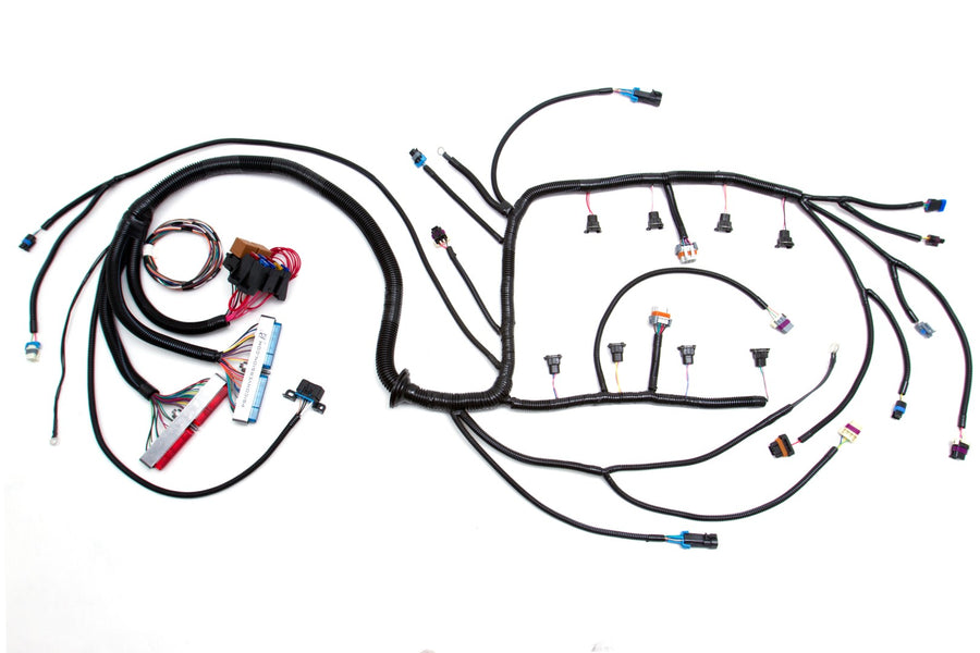 '97 - '02 LS1 W/ T56 STANDALONE WIRING HARNESS (DBC)