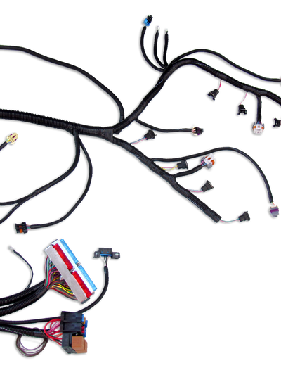 '99 - '03 VORTEC W/ 4L60E STANDALONE WIRING HARNESS (DBC)