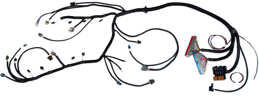 '99 - '03 VORTEC W/ T56 STANDALONE WIRING HARNESS (DBC)
