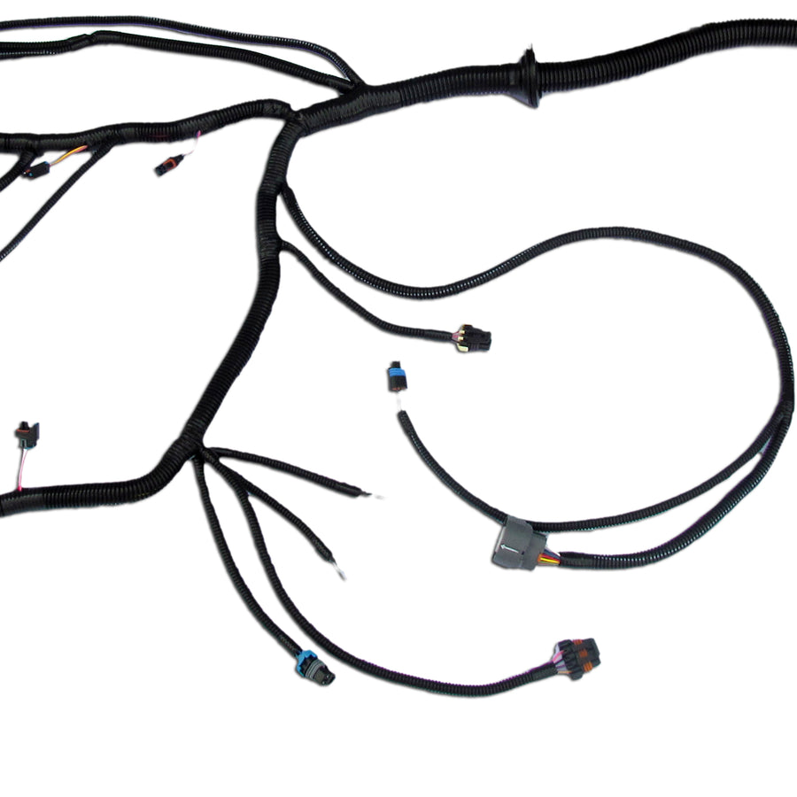 '99 - '03 VORTEC W/ T56 STANDALONE WIRING HARNESS (DBC)