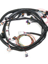 Holley LS2 Main Harness for Holley HP EFI & Dominator EFI 
