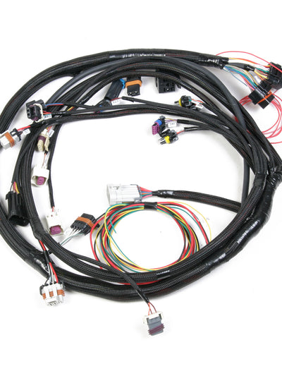 Holley LS2 Main Harness for Holley HP EFI & Dominator EFI 