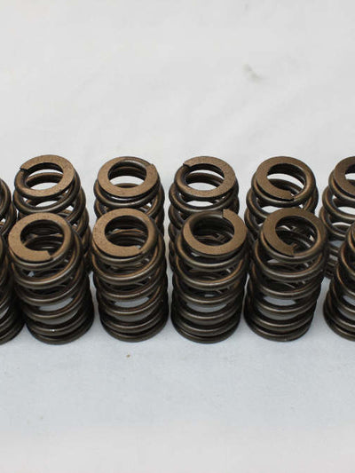 RPM Series Beehive LS1 Springs, 0.625 in.Lift, Set of 16