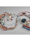 LS1 Standalone Wiring Harness - 2004-2006 Drive By Wire GTO Computer